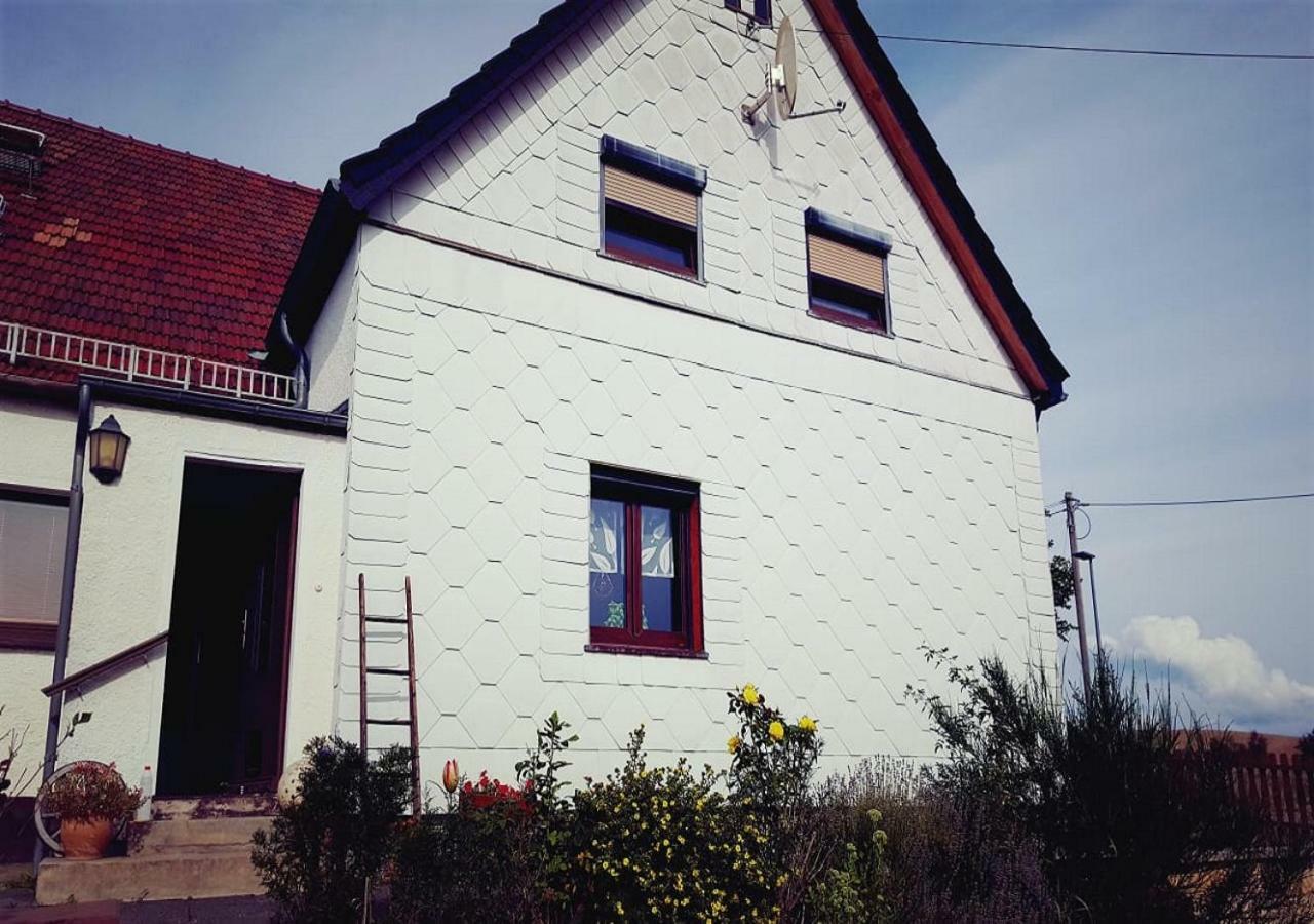 Ferienhaus Polly Rabenau Kültér fotó